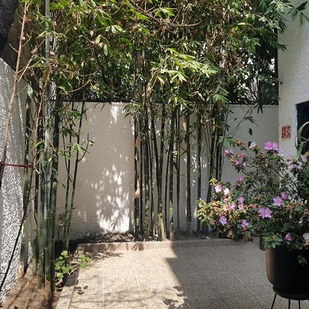 Casa Maria Elena Condesa (Adults Only) Hotel Mexikóváros Kültér fotó