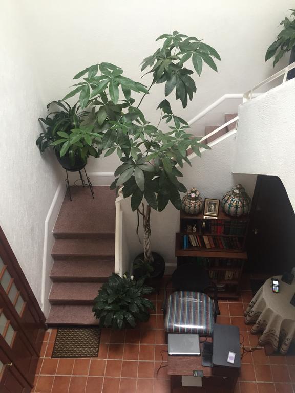 Casa Maria Elena Condesa (Adults Only) Hotel Mexikóváros Kültér fotó