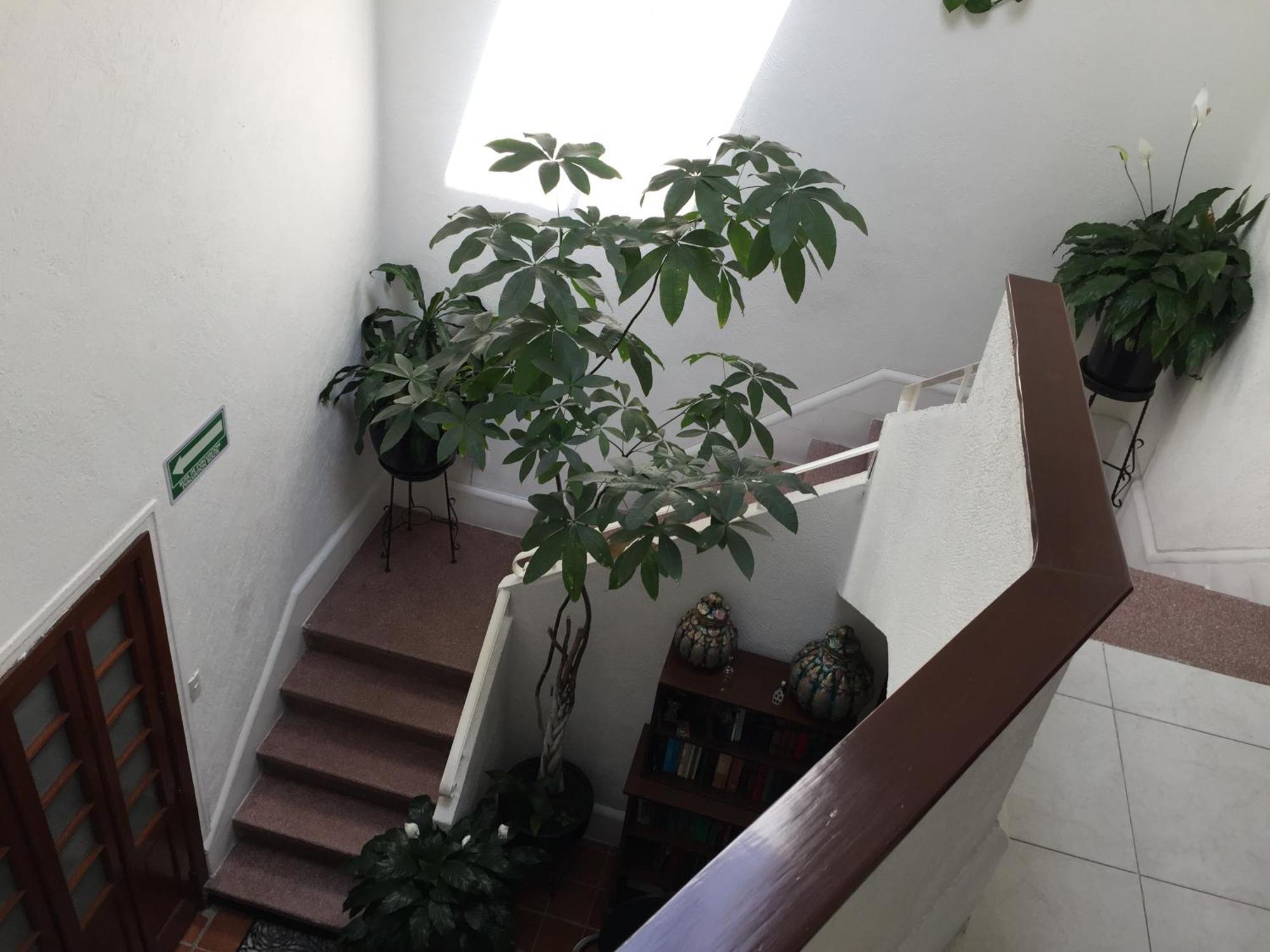 Casa Maria Elena Condesa (Adults Only) Hotel Mexikóváros Kültér fotó