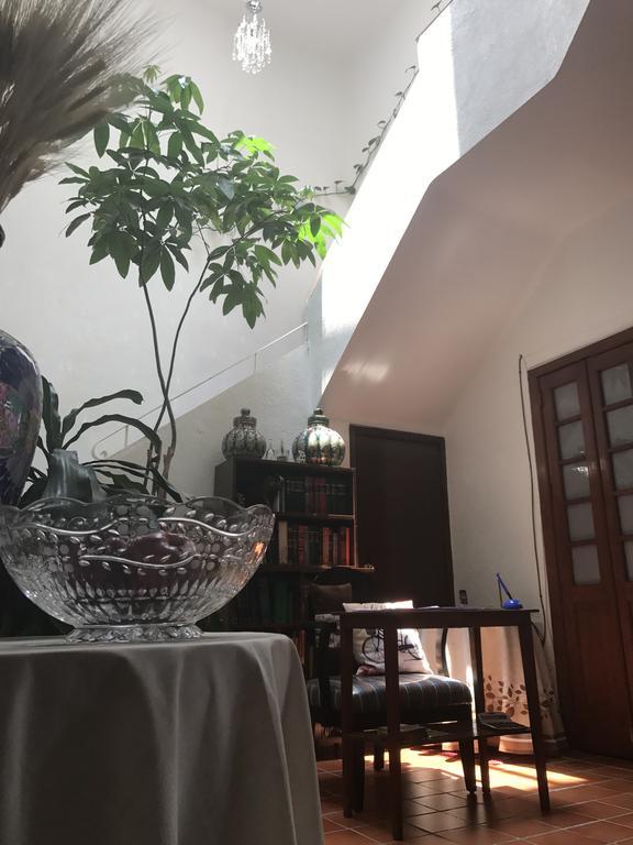 Casa Maria Elena Condesa (Adults Only) Hotel Mexikóváros Kültér fotó
