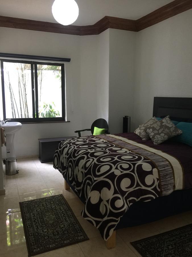Casa Maria Elena Condesa (Adults Only) Hotel Mexikóváros Kültér fotó